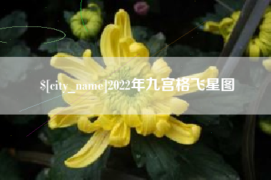 渑池2022年九宫格飞星图