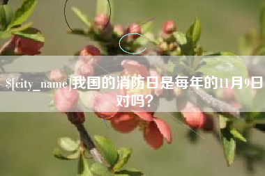 渑池我国的消防日是每年的11月9日对吗？