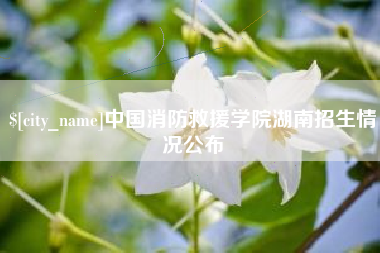 渑池中国消防救援学院湖南招生情况公布