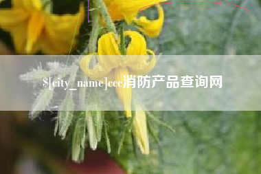渑池ccc消防产品查询网