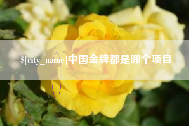 渑池中国金牌都是哪个项目