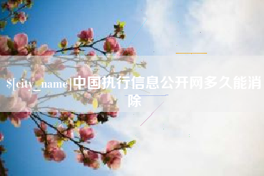 渑池中国执行信息公开网多久能消除
