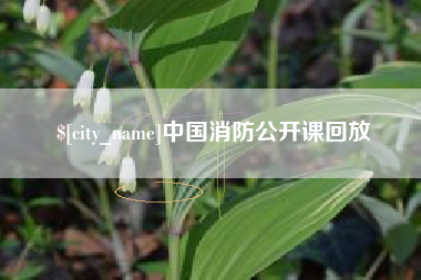 渑池中国消防公开课回放