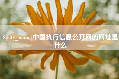 渑池中国执行信息公开网的网址是什么