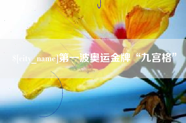 渑池第一波奥运金牌“九宫格”