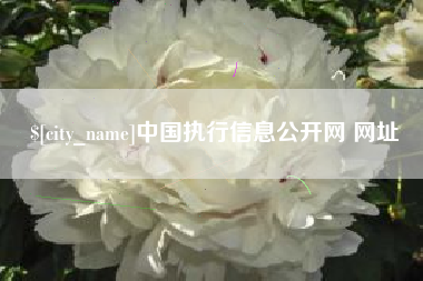 渑池中国执行信息公开网 网址