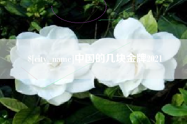 渑池中国的几块金牌2021