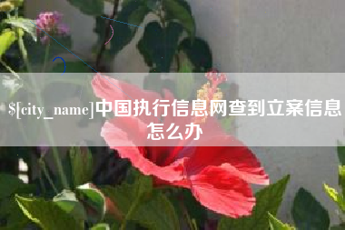 渑池中国执行信息网查到立案信息怎么办