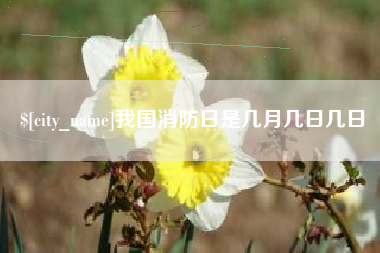 渑池我国消防日是几月几日几日