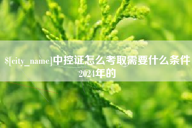 渑池中控证怎么考取需要什么条件2024年的
