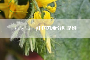 渑池中国九金分别是谁