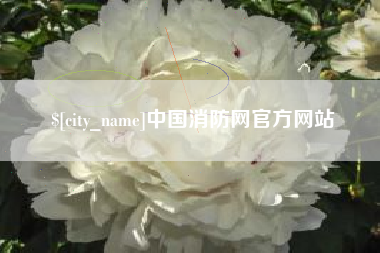 渑池中国消防网官方网站