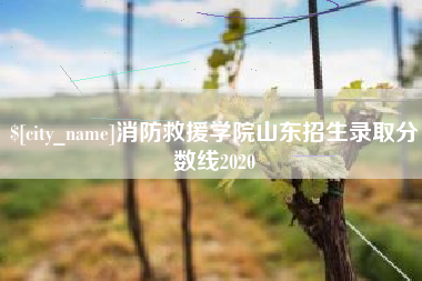 渑池消防救援学院山东招生录取分数线2020