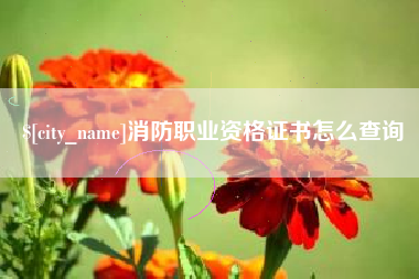 渑池消防职业资格证书怎么查询