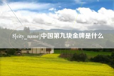 渑池中国第九块金牌是什么
