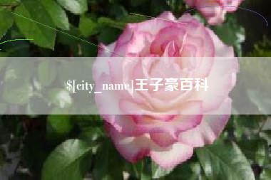 渑池王子豪百科