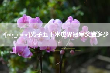 渑池男子五千米世界冠军奖金多少