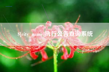 渑池执行公告查询系统