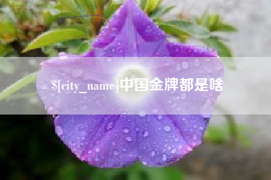 渑池中国金牌都是啥