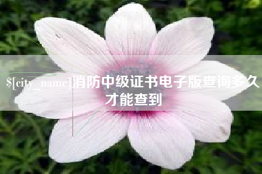 渑池消防中级证书电子版查询多久才能查到