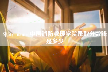 渑池中国消防救援学院录取分数线是多少