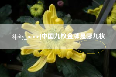 渑池中国九枚金牌是哪九枚