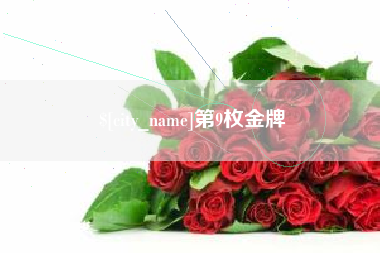 渑池第9枚金牌