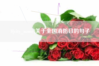 渑池关于全国消防日的句子