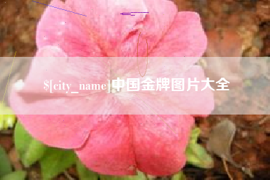 渑池中国金牌图片大全
