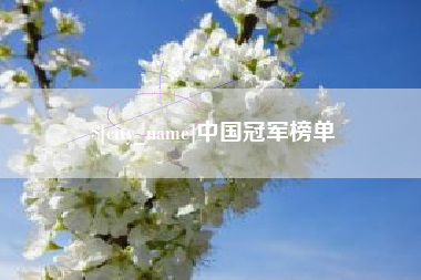 渑池中国冠军榜单