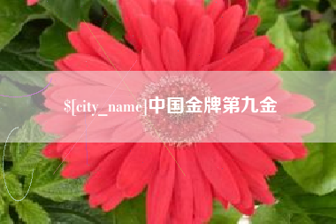 渑池中国金牌第九金