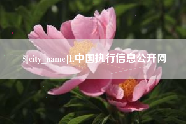 渑池1.中国执行信息公开网