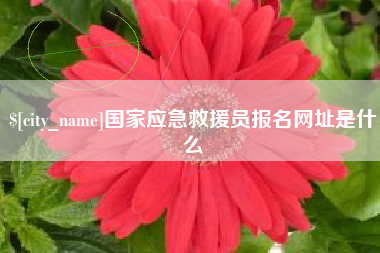 渑池国家应急救援员报名网址是什么