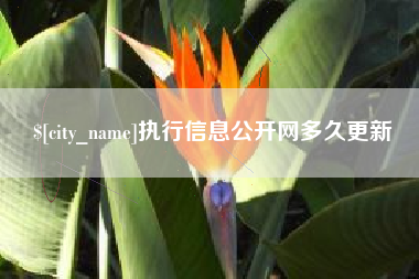 渑池执行信息公开网多久更新