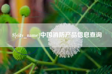 渑池中国消防产品信息查询