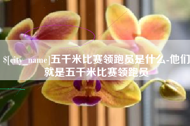 渑池五千米比赛领跑员是什么-他们就是五千米比赛领跑员