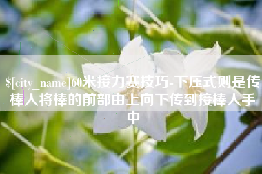 渑池60米接力赛技巧-下压式则是传棒人将棒的前部由上向下传到接棒人手中
