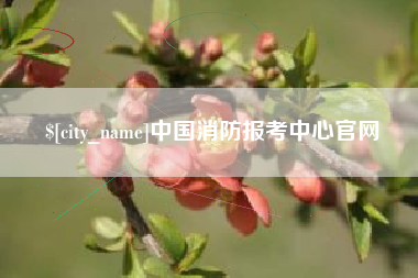 渑池中国消防报考中心官网