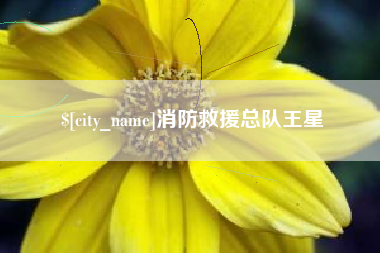 渑池消防救援总队王星