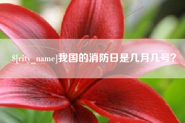 渑池我国的消防日是几月几号？