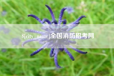 渑池全国消防招考网