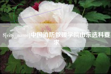渑池中国消防救援学院山东选科要求