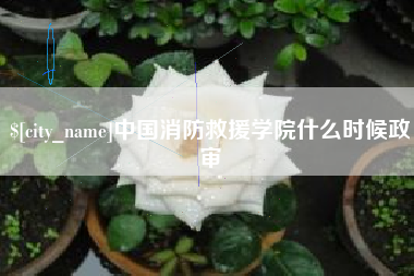 渑池中国消防救援学院什么时候政审