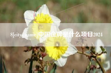 渑池中国金牌是什么项目2024