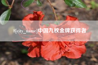 渑池中国九枚金牌获得者
