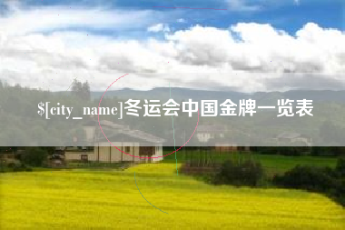 渑池冬运会中国金牌一览表