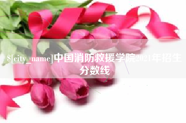 渑池中国消防救援学院2021年招生分数线