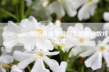 渑池消防救援学院招生录取分数线2020福建