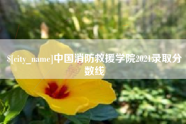 渑池中国消防救援学院2021录取分数线