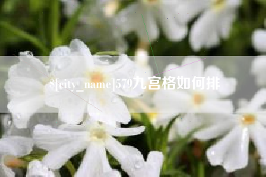 渑池579九宫格如何排